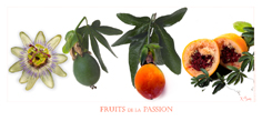 Fruits de la Passion